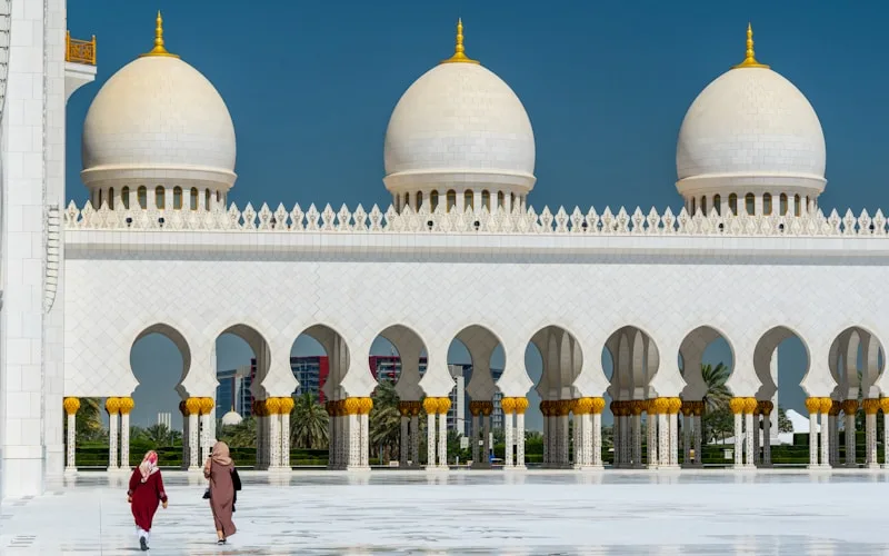 جناح شهر العسل